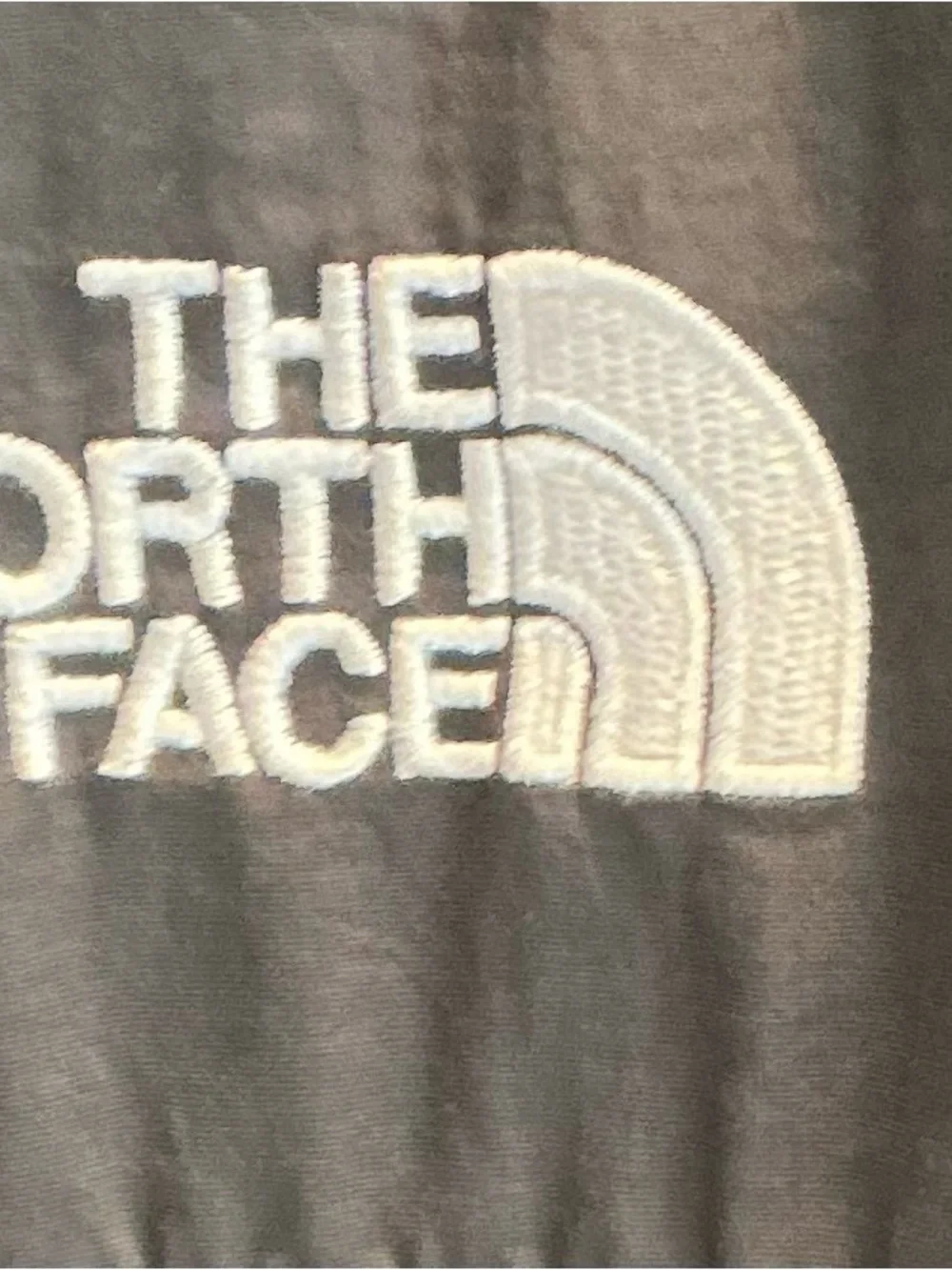 The North Face Blue and Gray Men's Performance Fleece Jacket